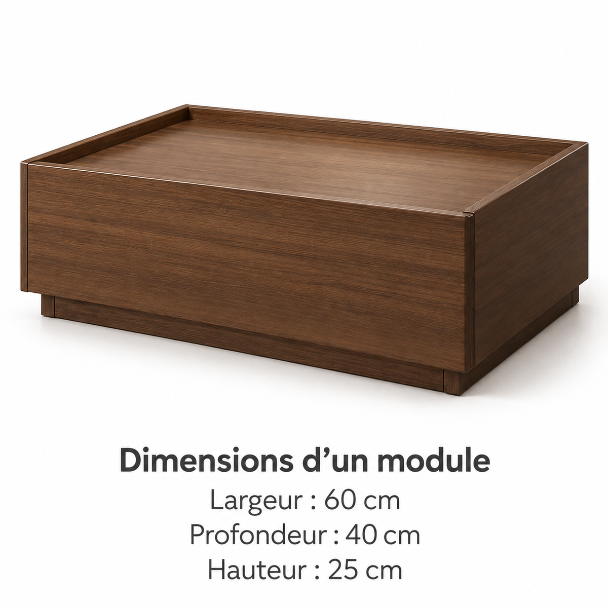 Dimensions du module brun : largeur 60 cm, profondeur 40 cm, hauteur 25 cm.